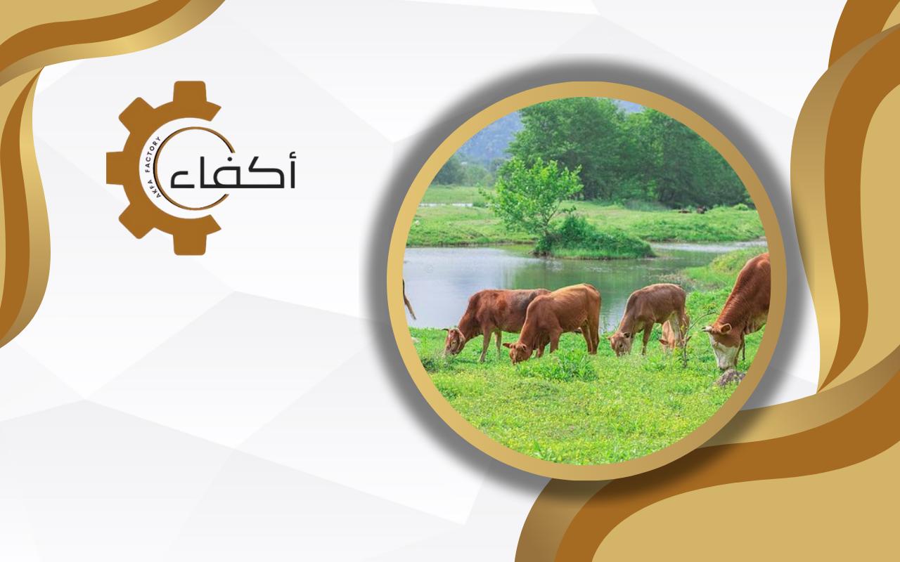 The Importance of Natural Feed in Livestock Nutrition